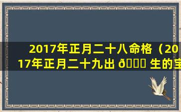 2017年正月二十八命格（2017年正月二十九出 💐 生的宝 🌴 宝什么命）